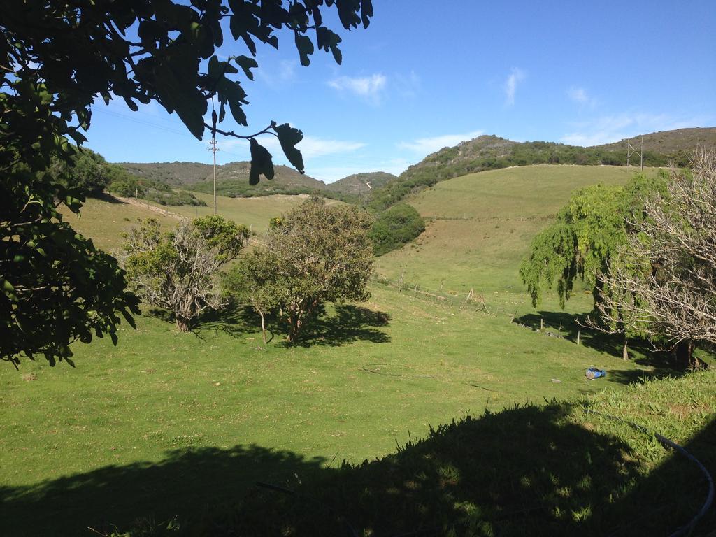 Waterryk Eco Guest Farm Apartment Stilbaai Bagian luar foto