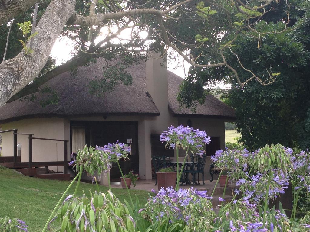 Waterryk Eco Guest Farm Apartment Stilbaai Bagian luar foto